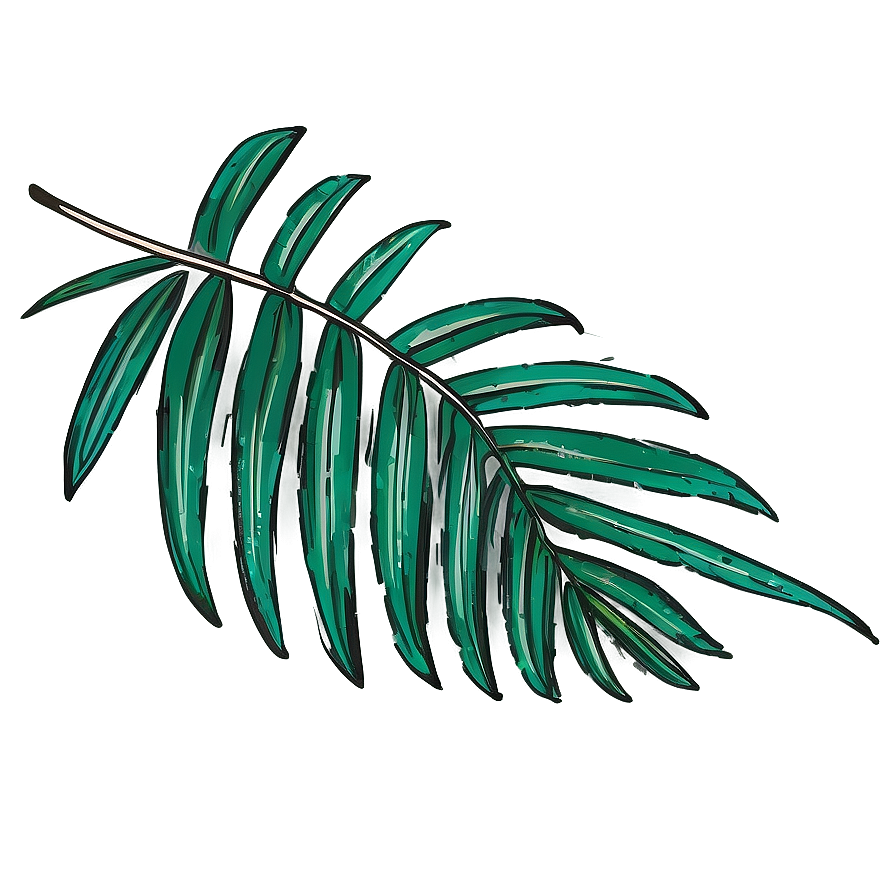 Hand Drawn Palm Leaves Png 52