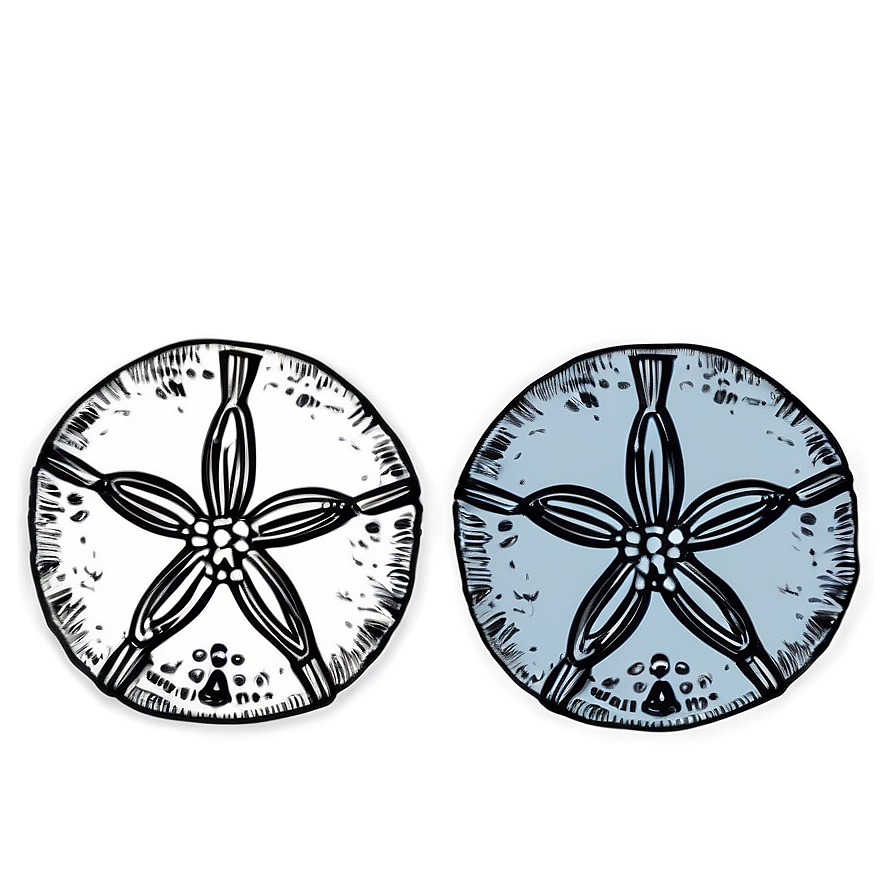 Hand Drawn Sand Dollar Png Gkk63