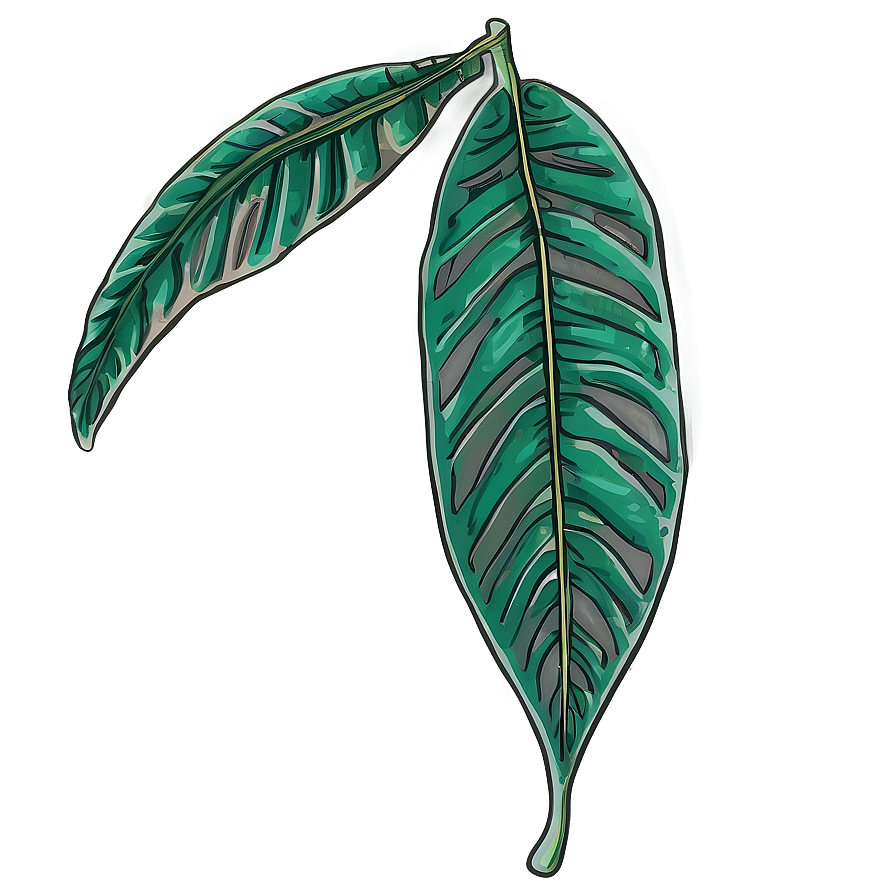 Hand-drawn Tropical Leaf Png Qal