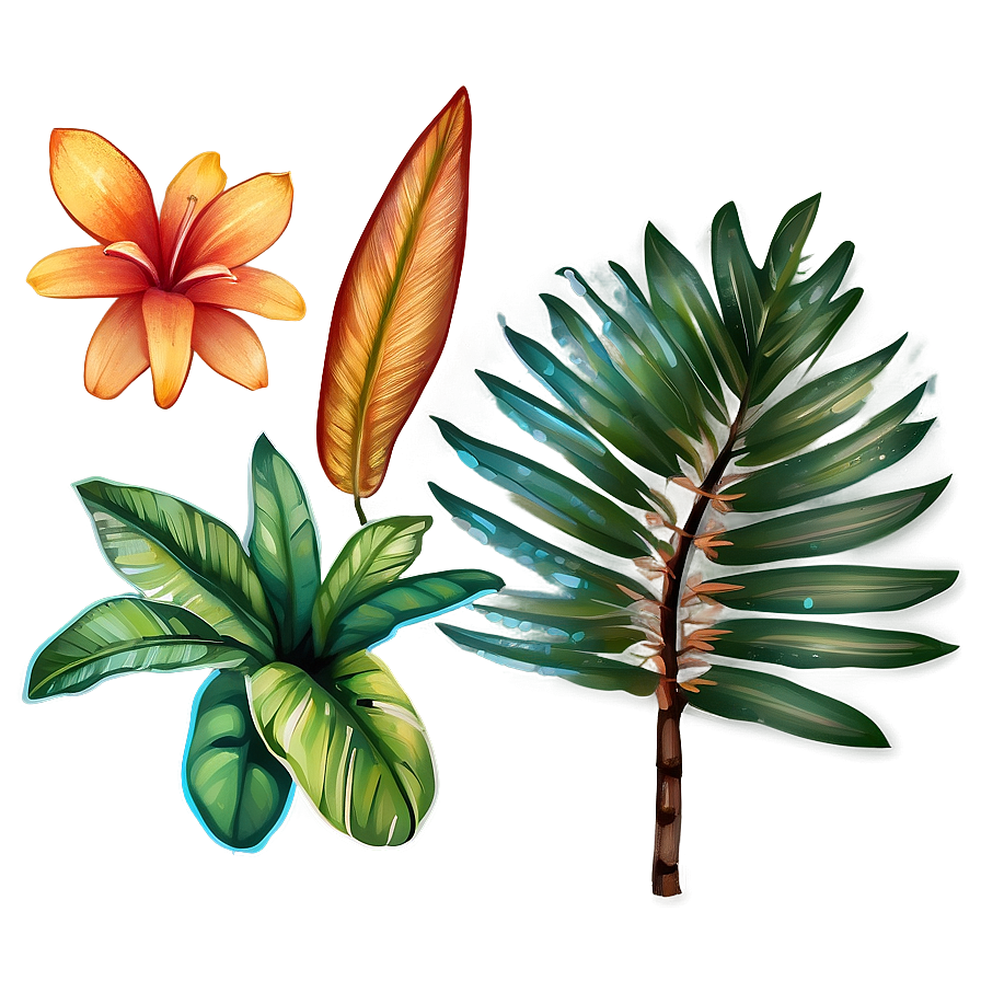 Hand Drawn Tropical Plants Png Upy3