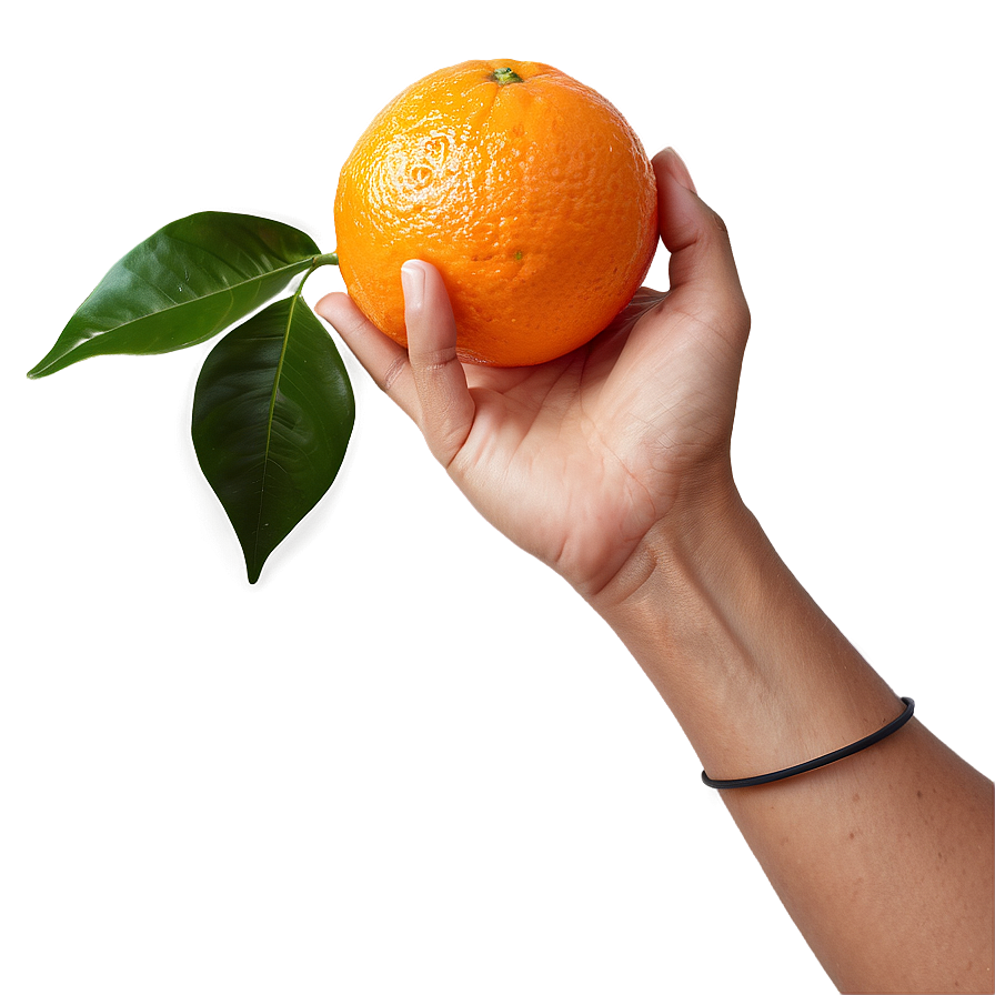 Hand Holding Orange Png Yxa36