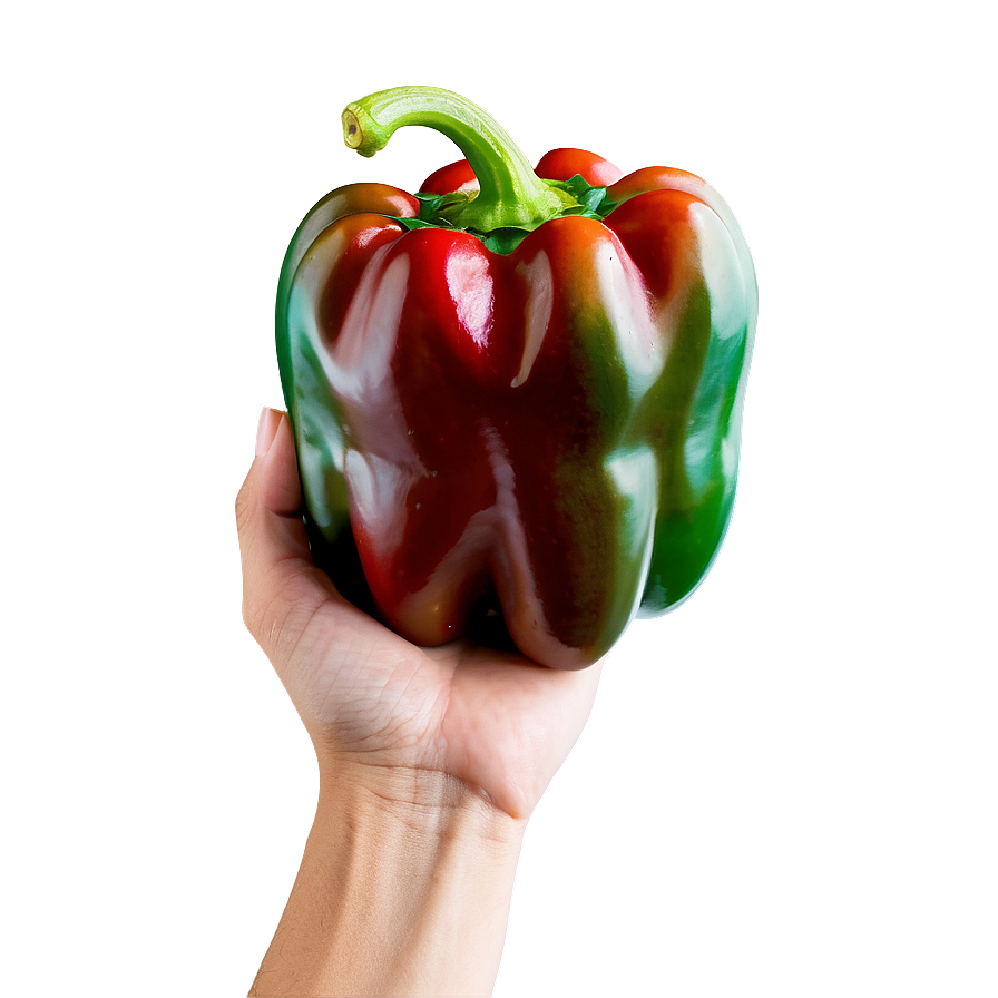 Hand Holding Pepper Png Qah