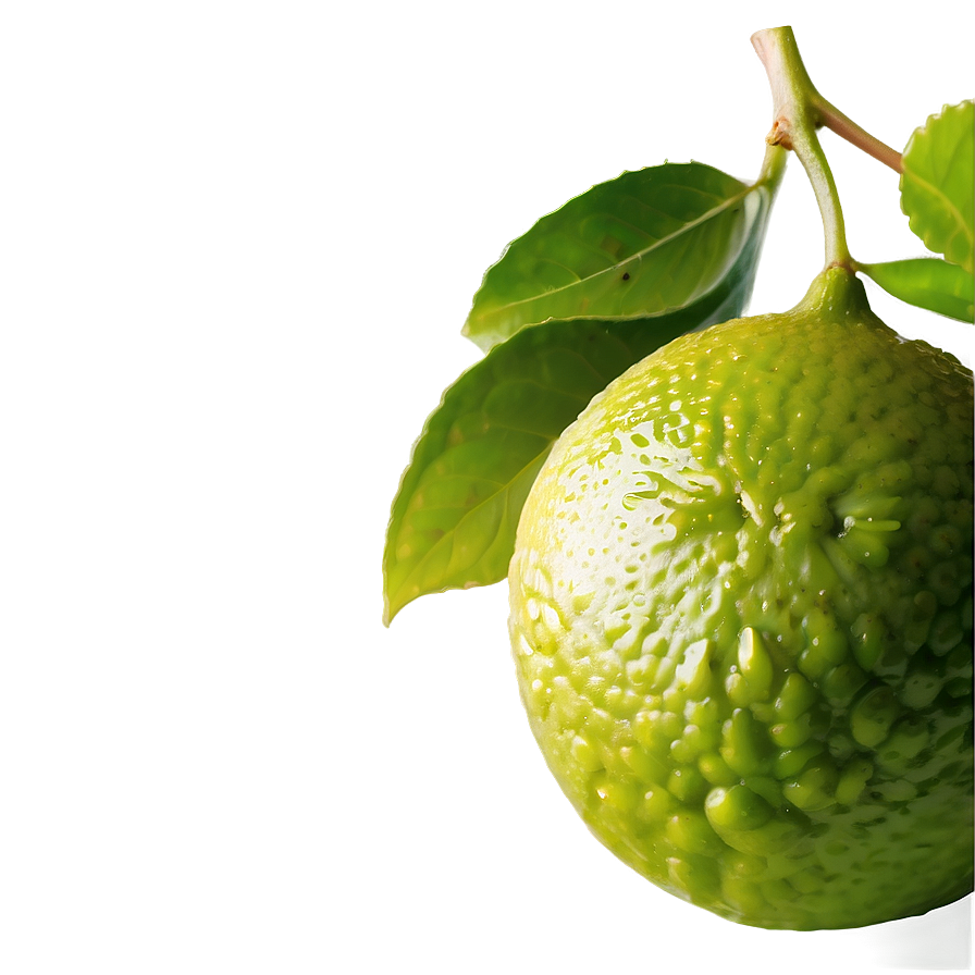 Hand-squeezed Lime Juice Png 05242024