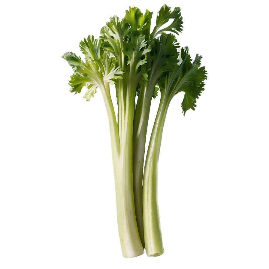 Handful Of Celery Png Twi17