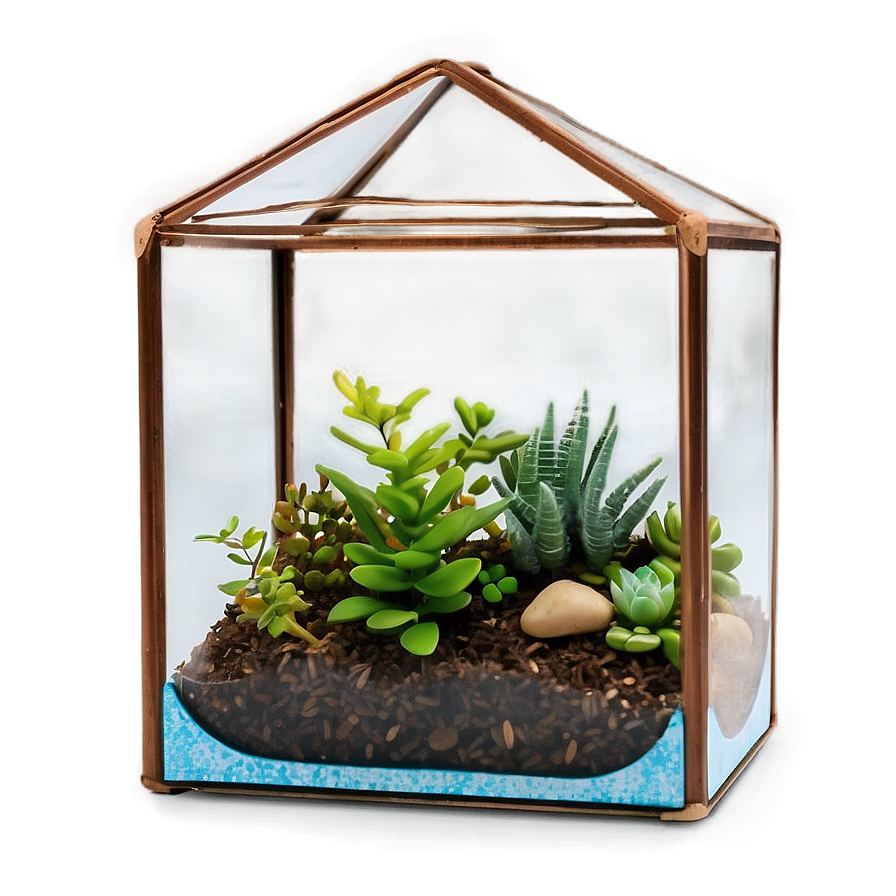 Handmade Glass Terrarium Box Png Tjl