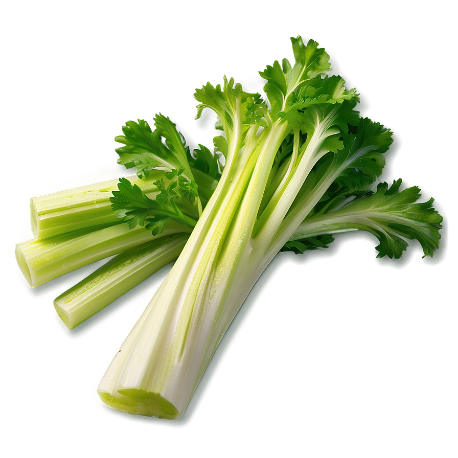 Handpicked Celery Png Vic12