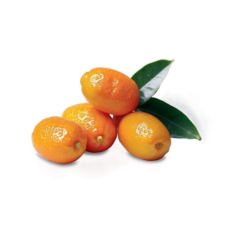 Handpicked Kumquat Png Mpf