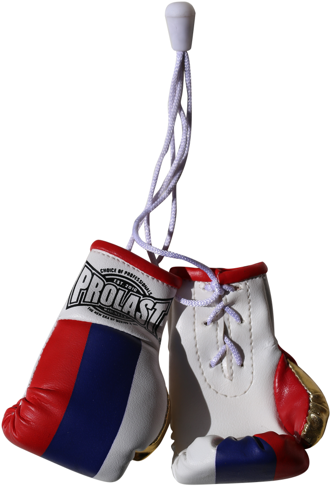 Hanging Boxing Gloves Provast