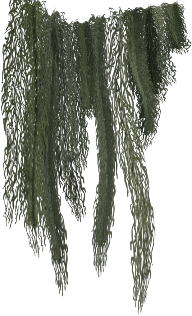 Hanging Green Vines.png