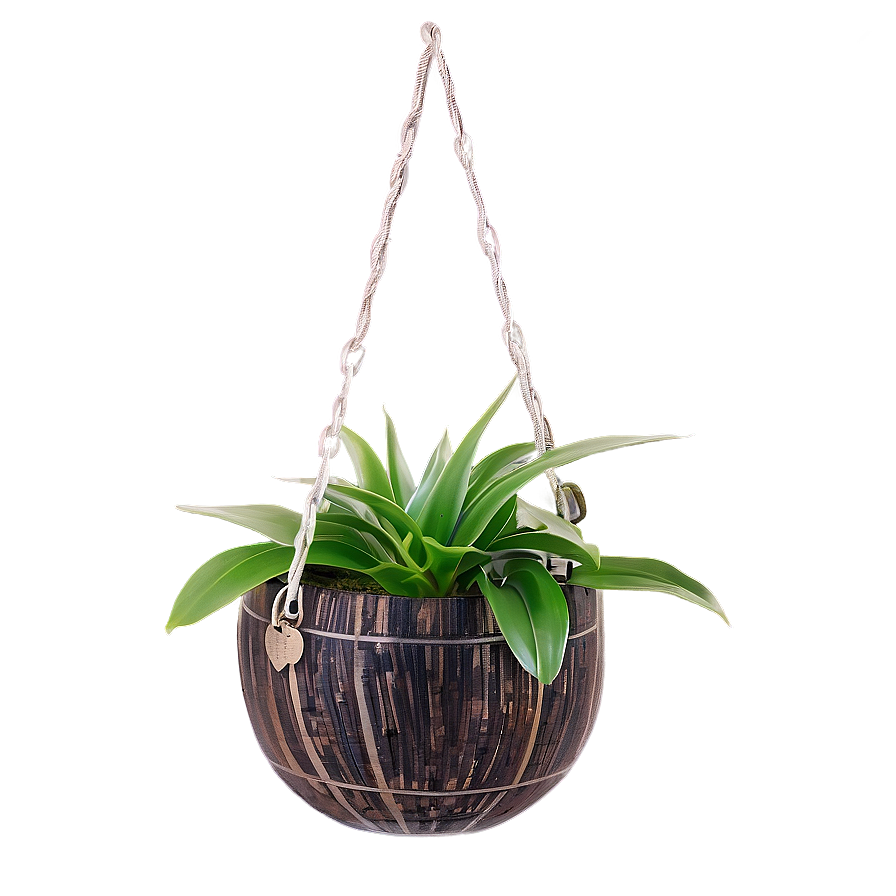 Hanging Indoor Plants Png Pki53