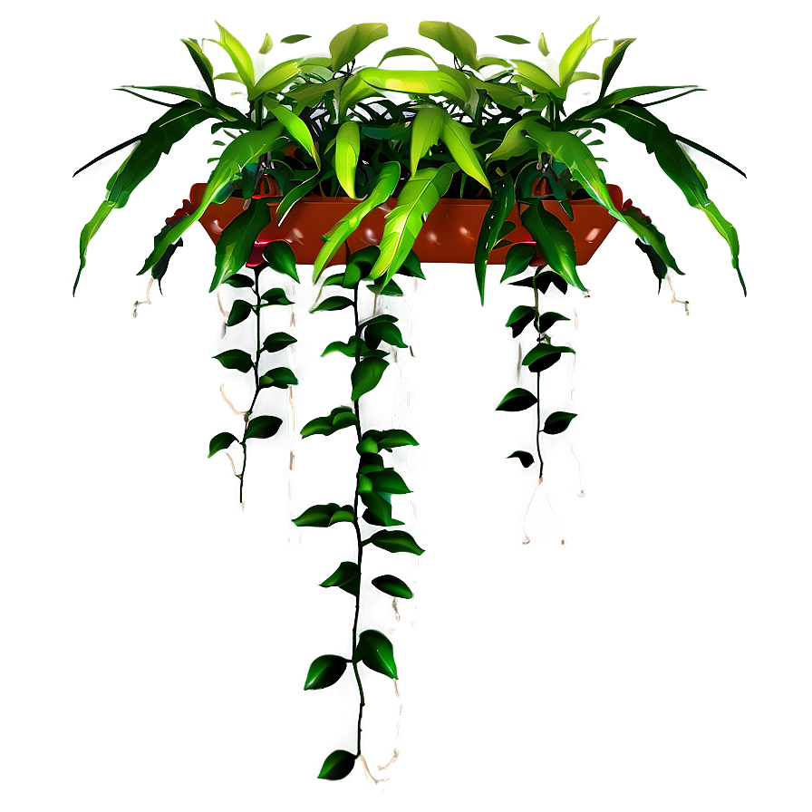 Hanging Plant Arrangement Png 05252024