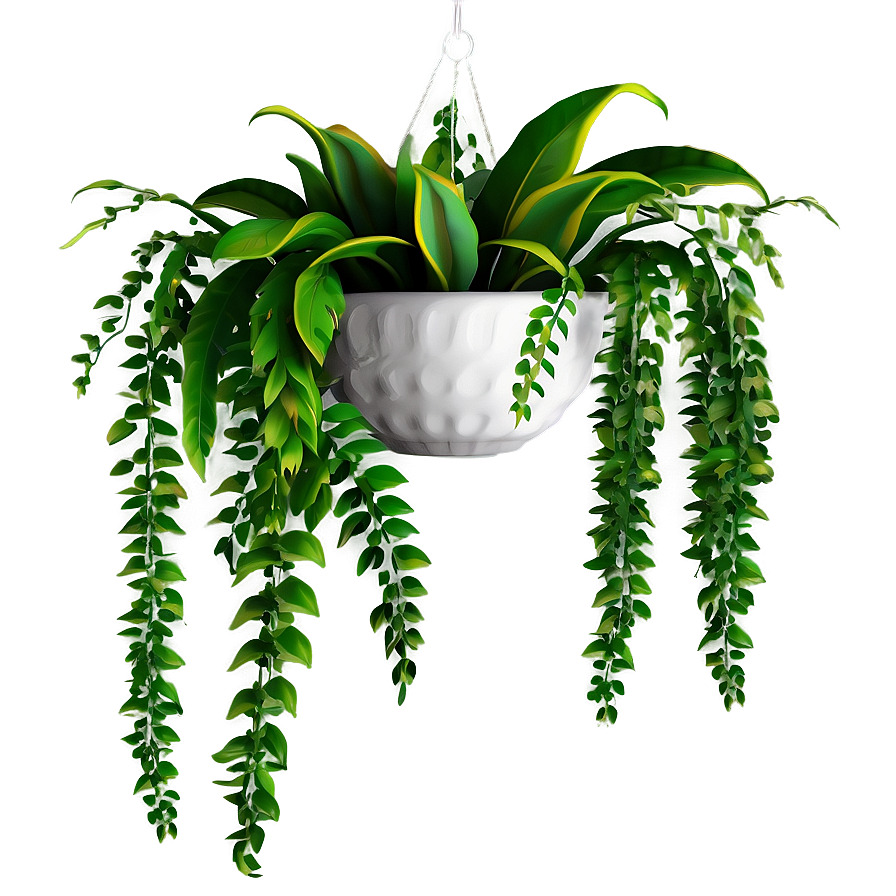 Hanging Plant Png 38