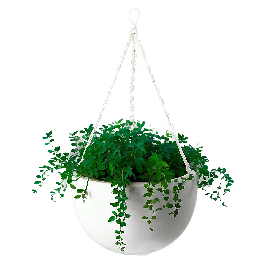 Hanging Plant Window Png Nff51