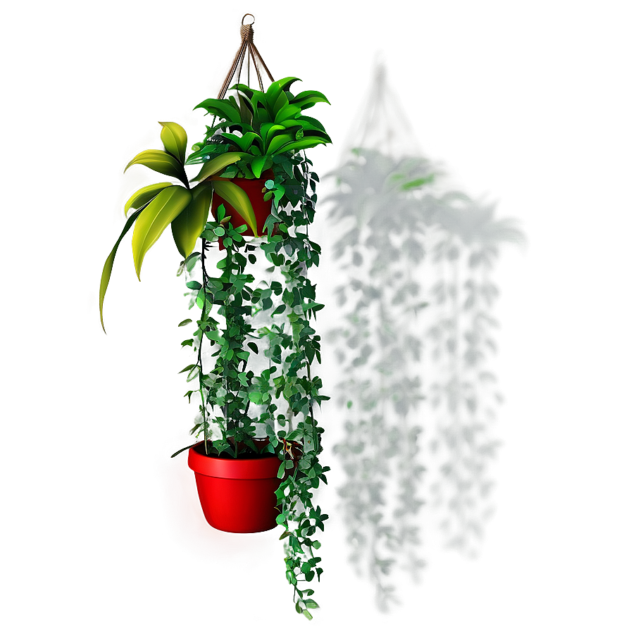 Hanging Plants Png 78