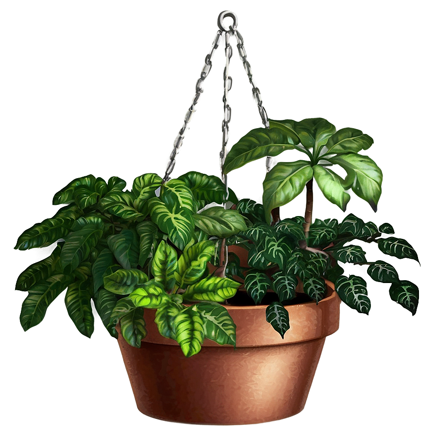 Hanging Potted Plants Images Png 10