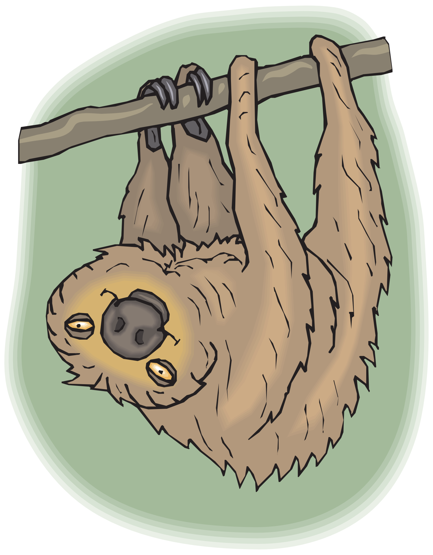 Hanging Sloth Cartoon