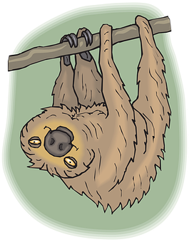 Hanging Sloth Cartoon Illustration