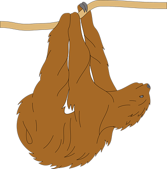 Hanging Sloth Cartoon