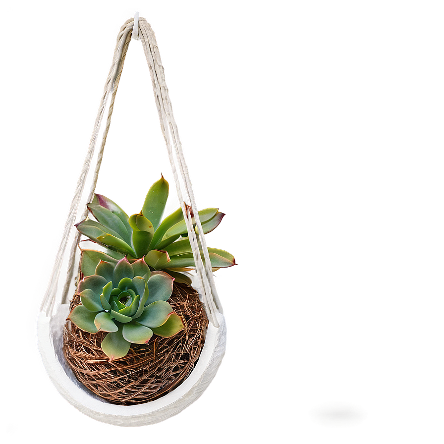 Hanging Succulent Baskets Png Djd82