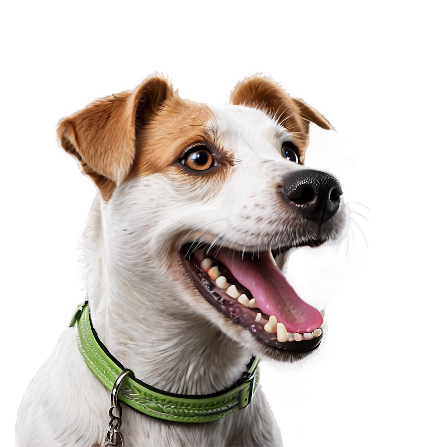 Happy Jack Russell Dog Png 29