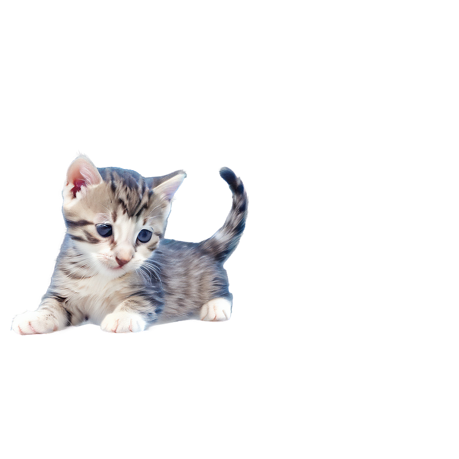 Happy Kitten Graphic Png 06242024