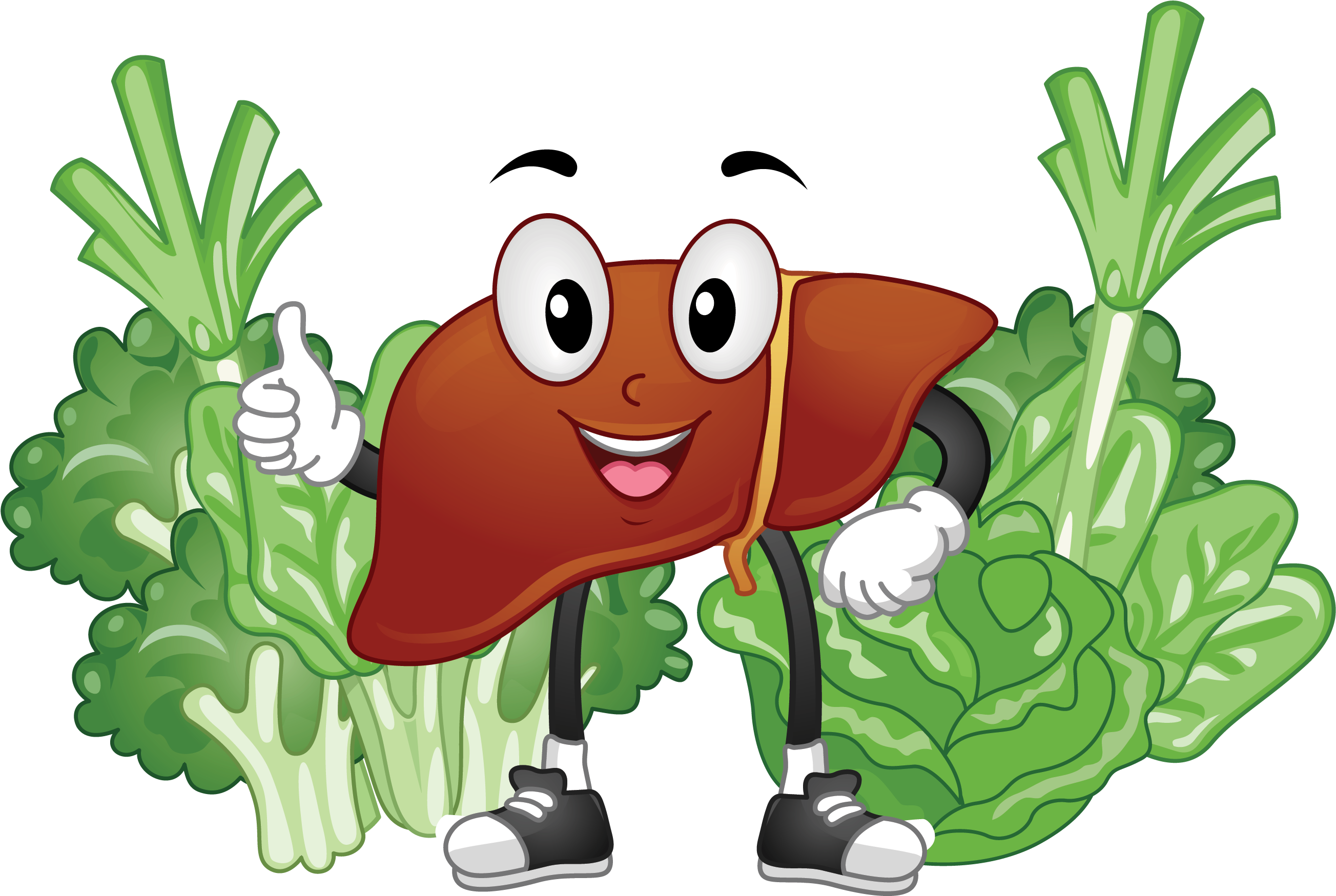 Happy Liver Character With Greens