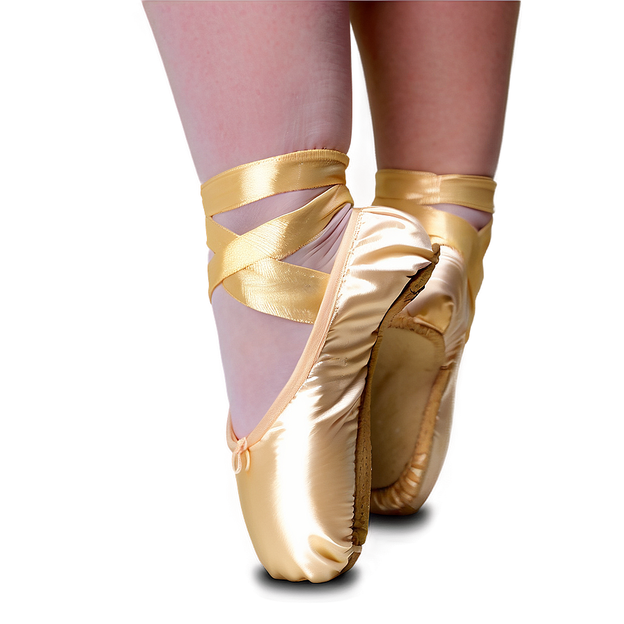 Hard Shank Pointe Shoes Png Xgl44