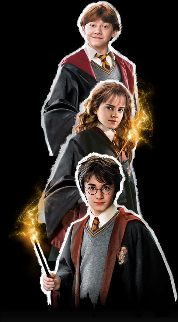 Harry Potter Trio Magical Portrait