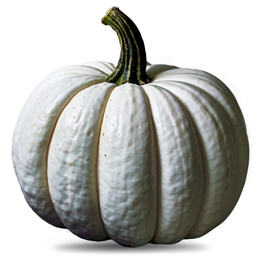 Harvest White Pumpkin Png 62