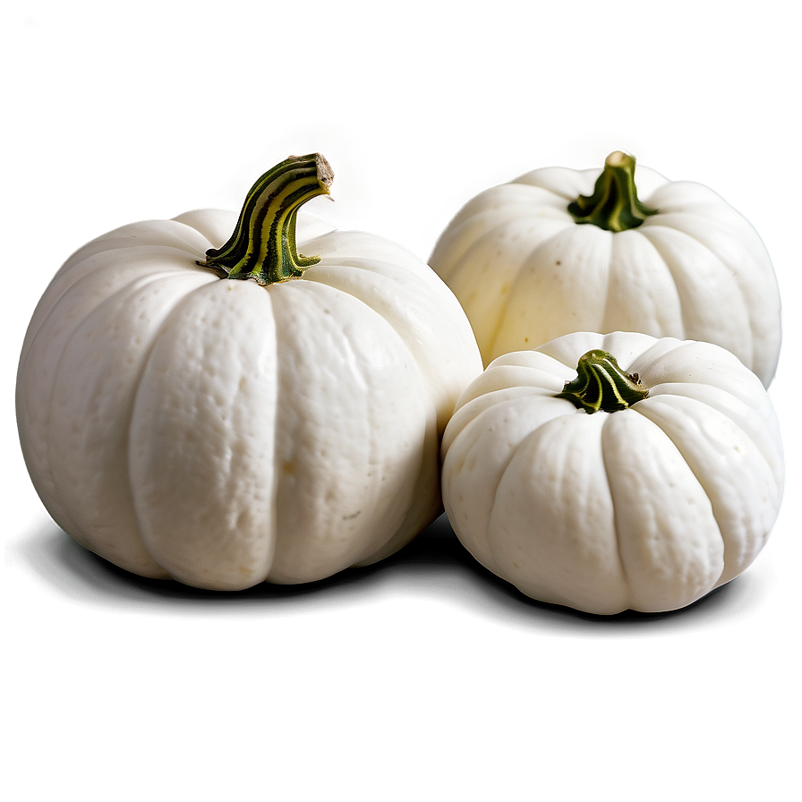 Harvest White Pumpkin Png Cnn