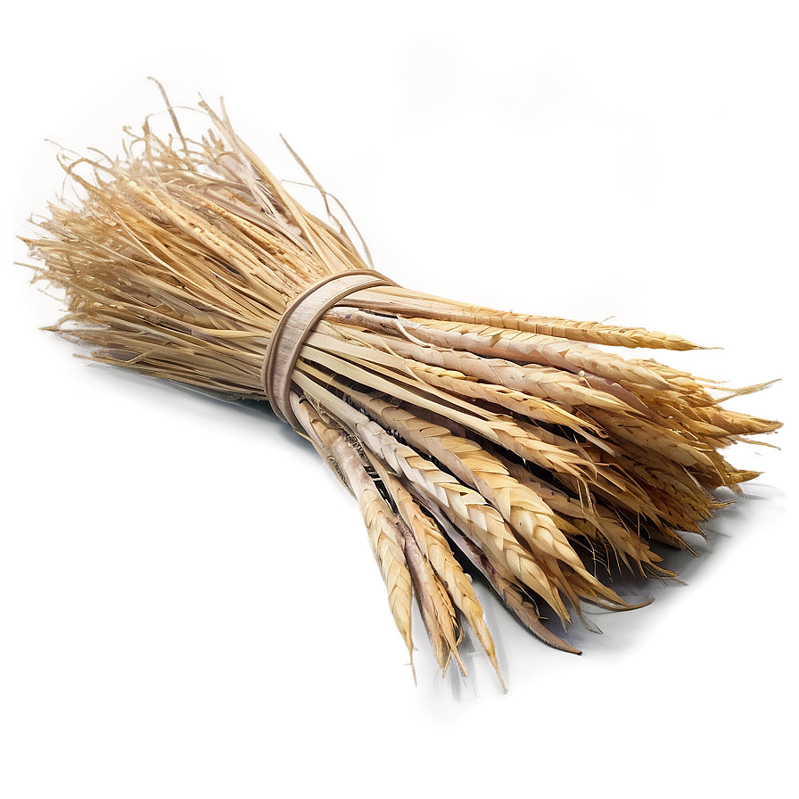 Harvested Trigo Sheaves Png Jho