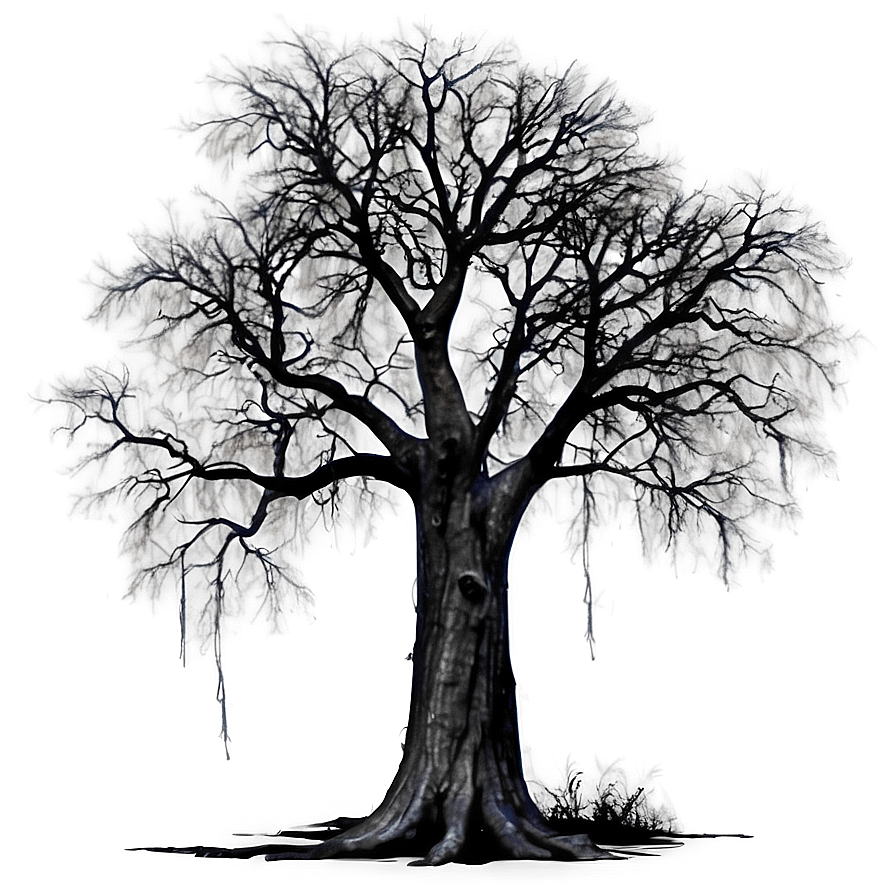 Haunted Black Tree Png 06212024