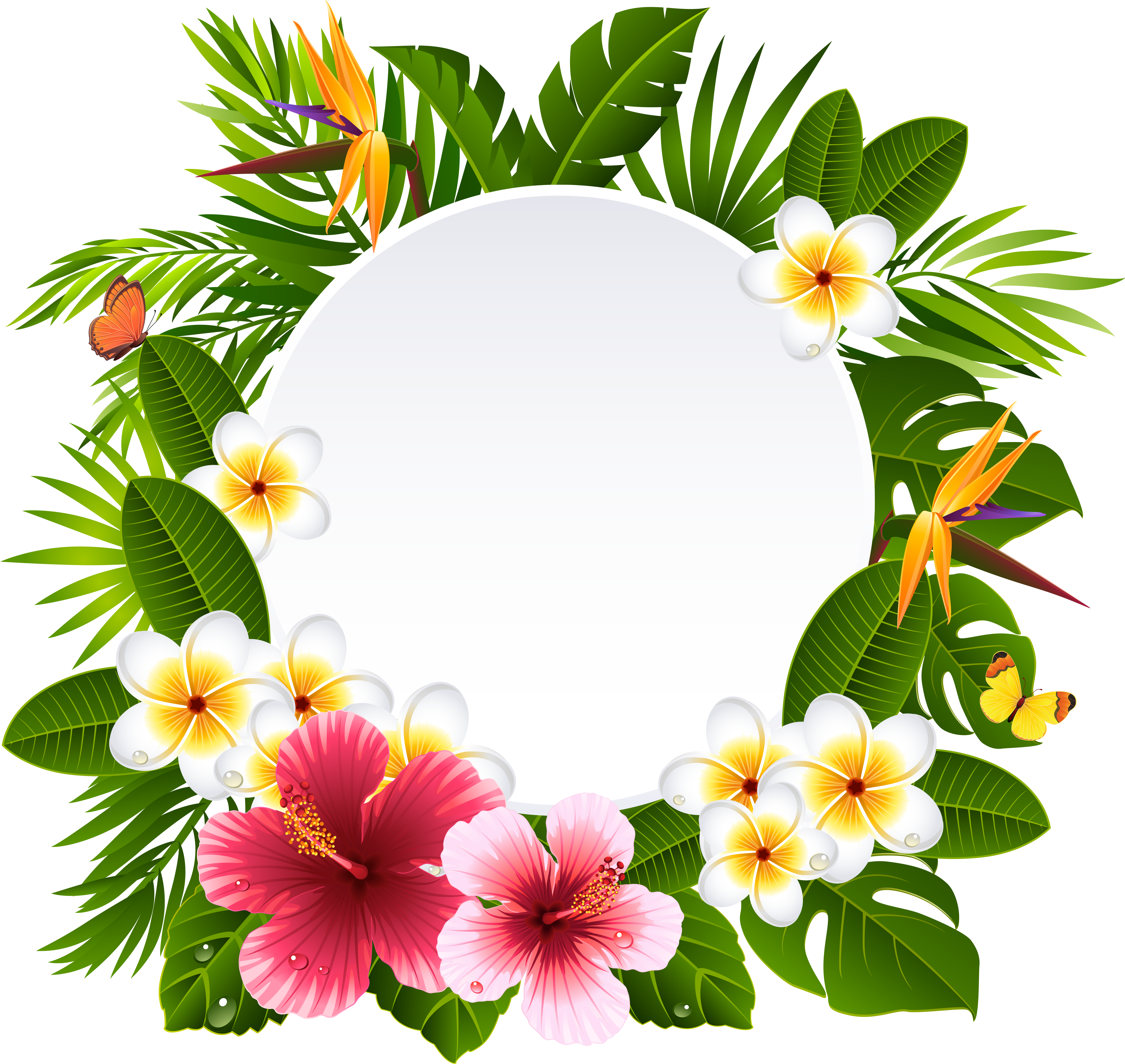 Hawaiian_ Floral_ Frame_ Vector