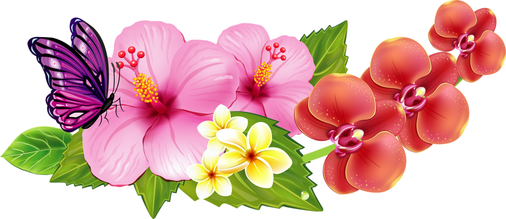 Hawaiian_ Flowers_and_ Butterfly