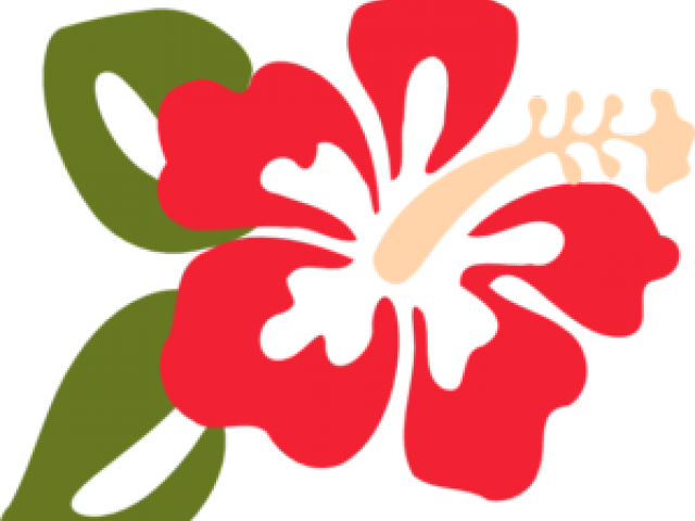 Hawaiian_ Hibiscus_ Flower_ Illustration