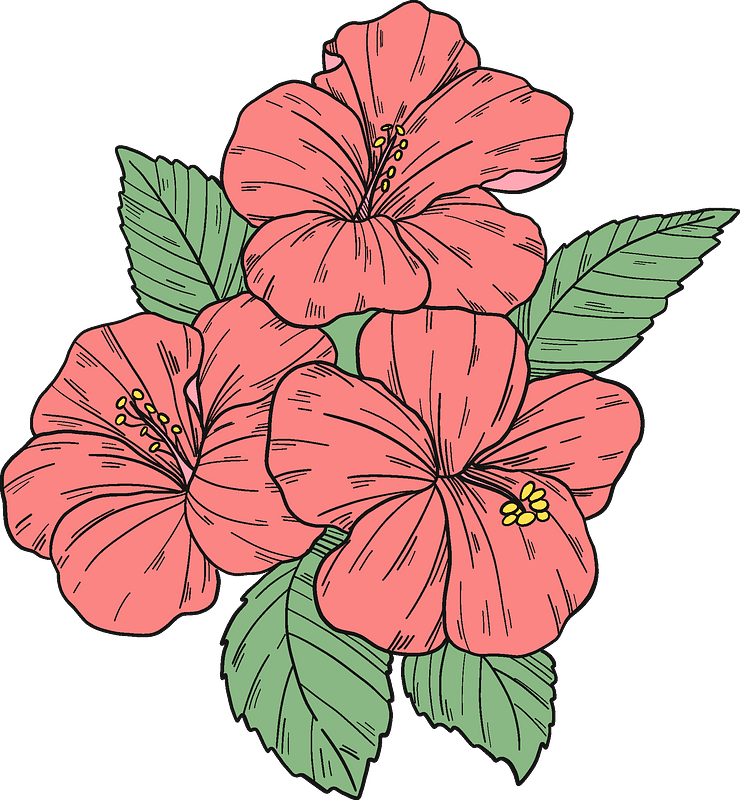 Hawaiian_ Hibiscus_ Flowers_ Illustration