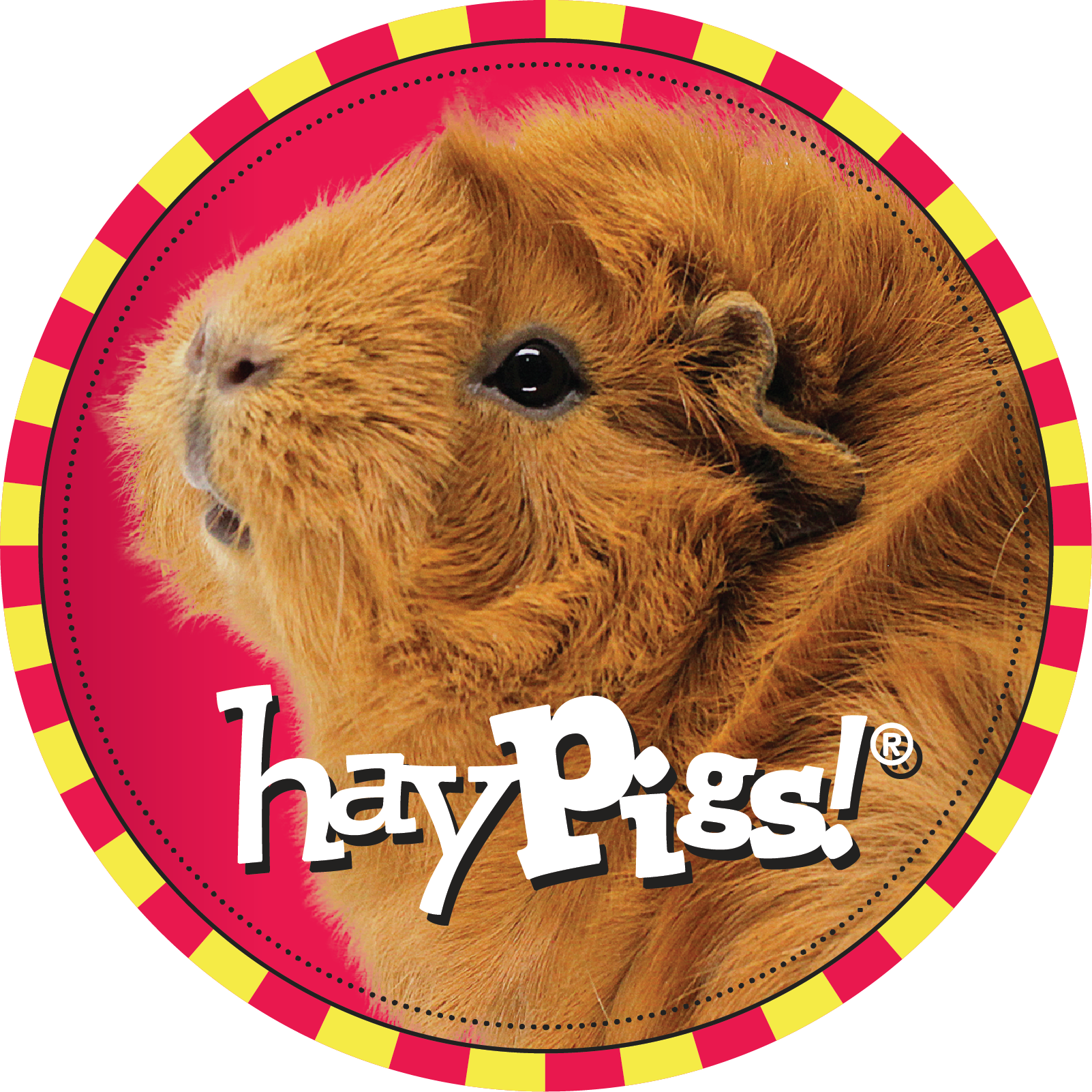 Hay Pigs Guinea Pig Circle Logo