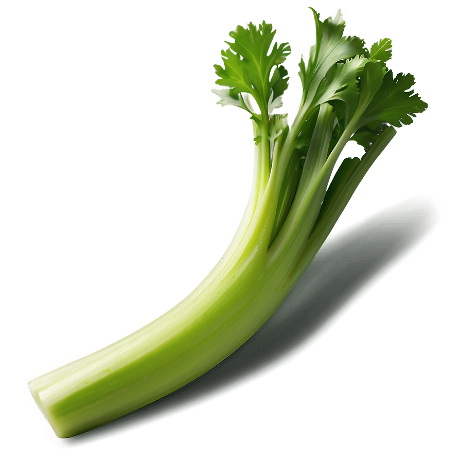 Healthy Celery Png Hwb98