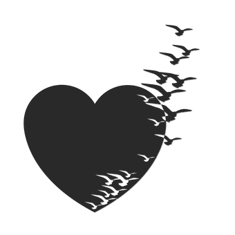 Heart Shaped Silhouettewith Birds Flying