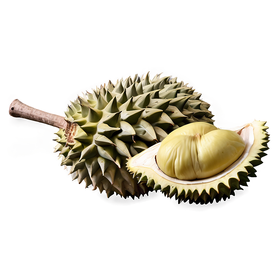 Hearty Durian Png 49