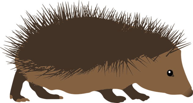 Hedgehog Silhouette Illustration