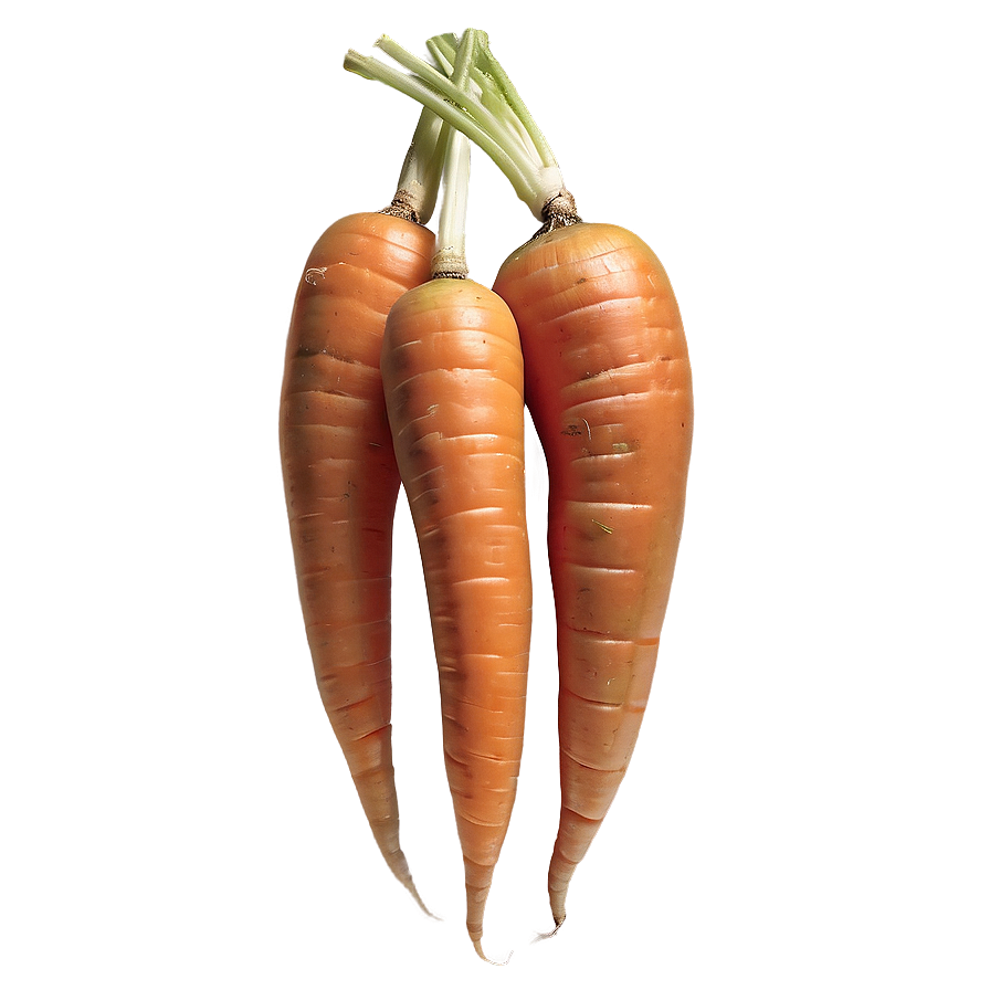 Heirloom Carrot Png Krg