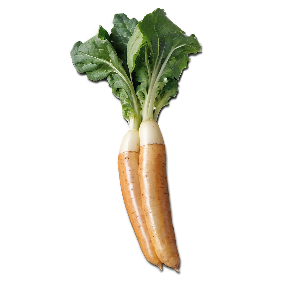 Heirloom Vegetables Png 52