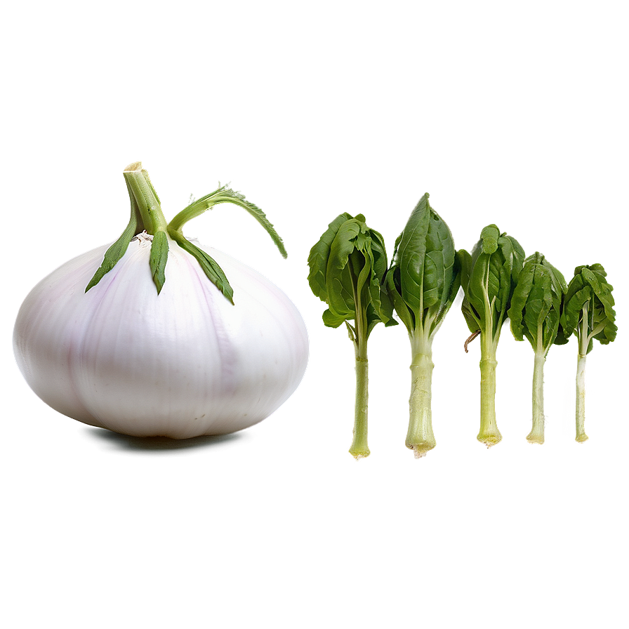 Heirloom Vegetables Png 52