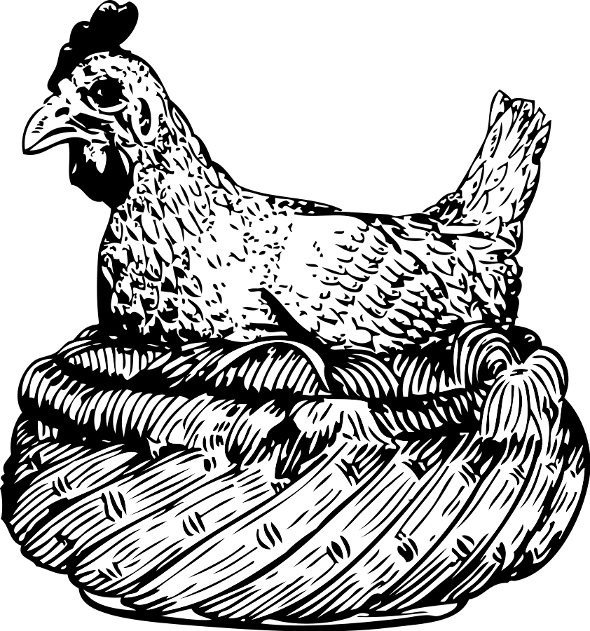 Henon Nest Illustration