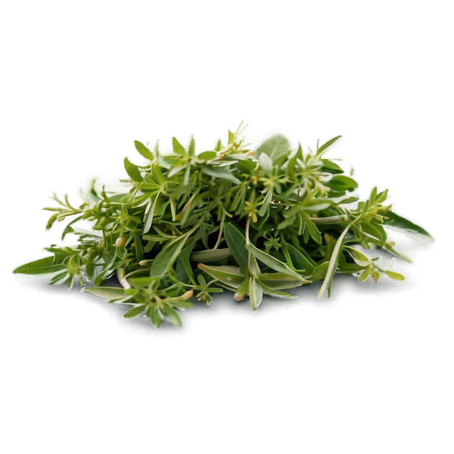 Herb Infusion Png 14