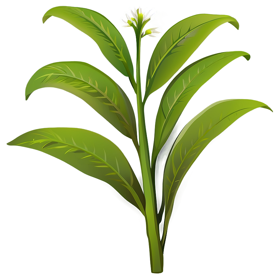 Herbal Plant Clipart Png Ore18