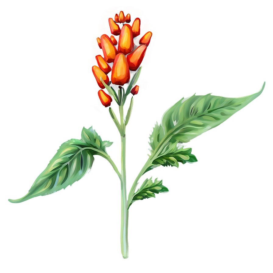 Herbal Plant Png 05032024