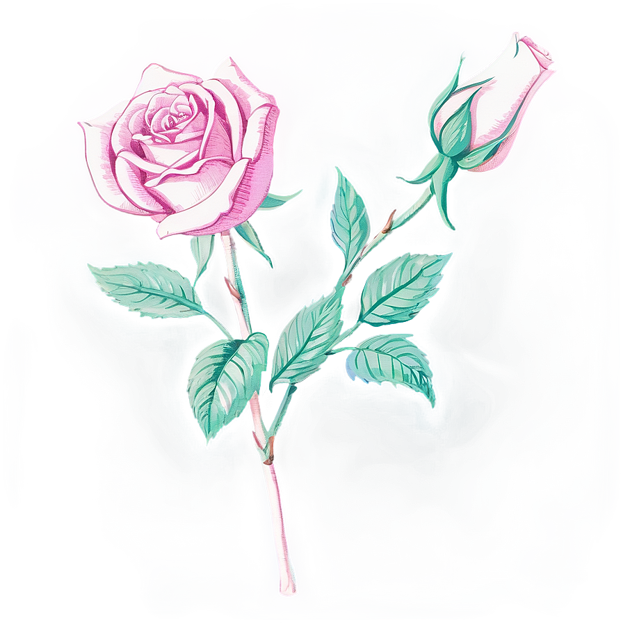 Heritage Rose Sketch Png 1