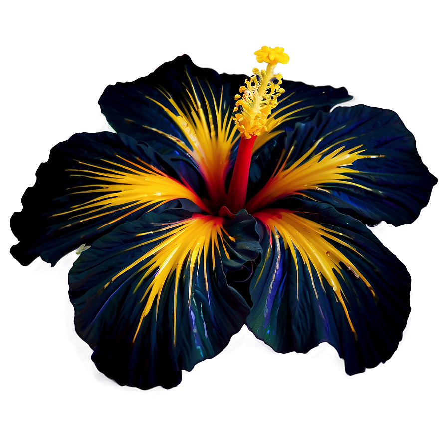 Hibiscus Abstract Png Fbf80